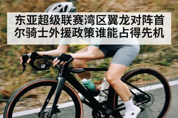 东亚超级联赛湾区翼龙对阵首尔骑士外援政策谁能占得先机 | app